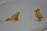 plat petit canard