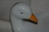 plat canard